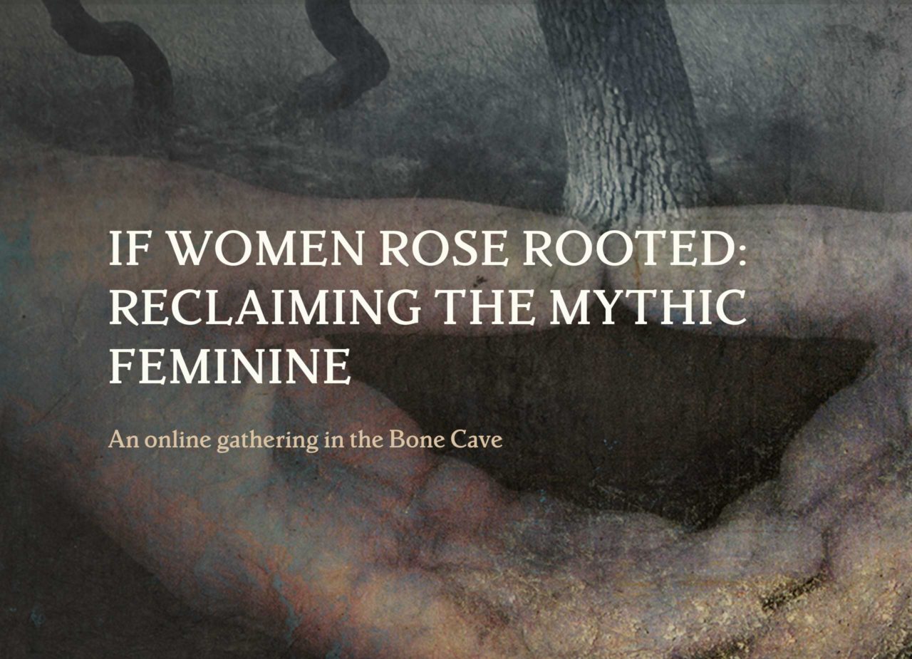 women rose rooted